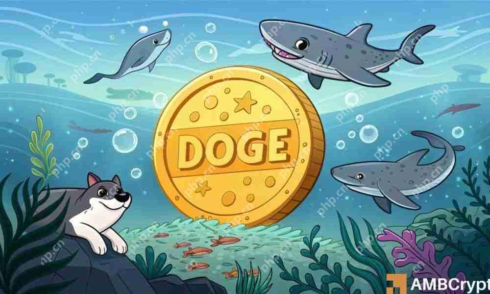 在明显的50％集会之后，Dogecoin [Doge]似乎在$ 0.25的关键阻力水平附近巩固